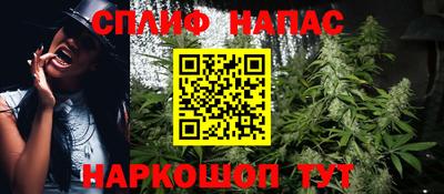 индика Пугачёв